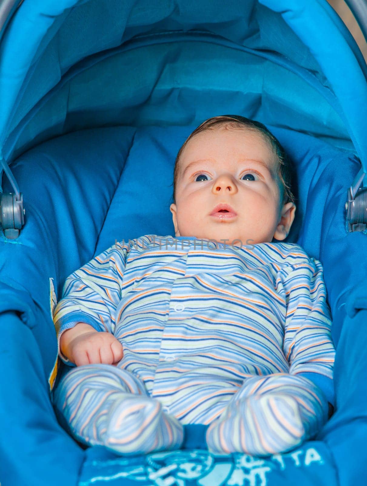 Portrait of a 2 months old baby boy sitting in a safety seat.
