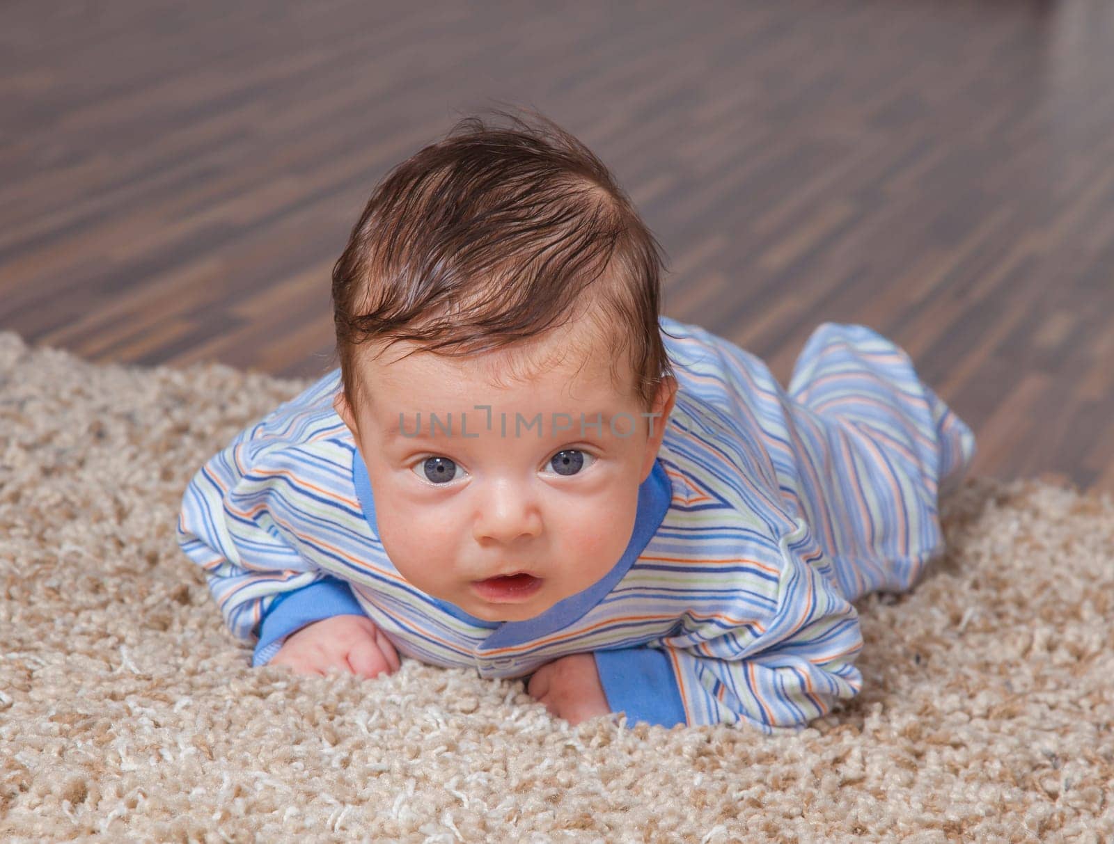Portrait of a 2 months old baby boy at his home.