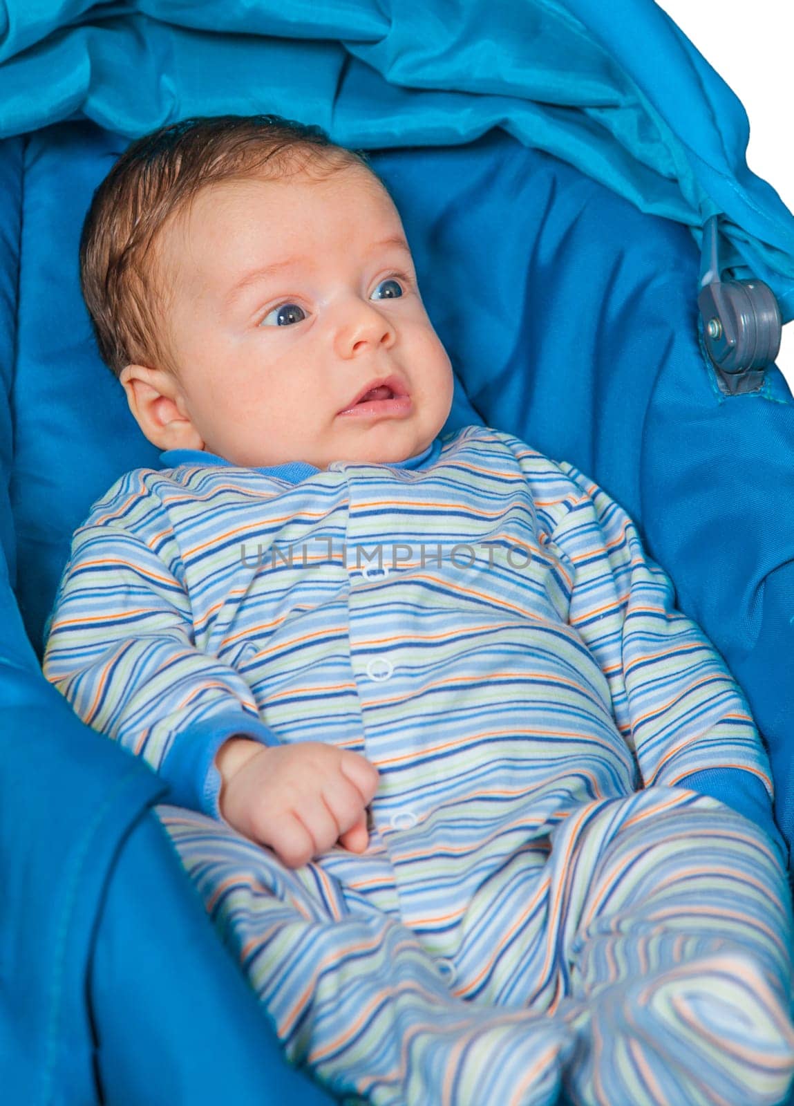 Portrait of a 2 months old baby boy sitting in a safety seat.