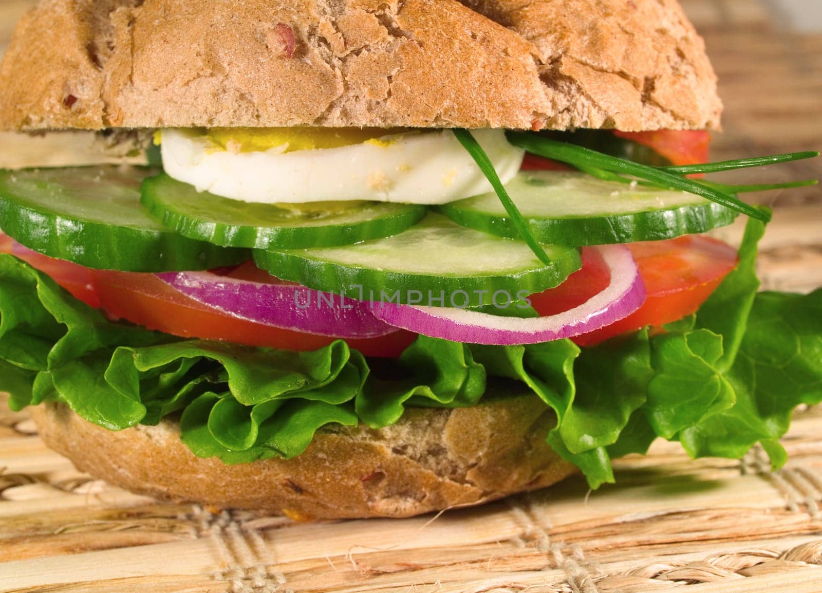 Vegetarian Sandwich