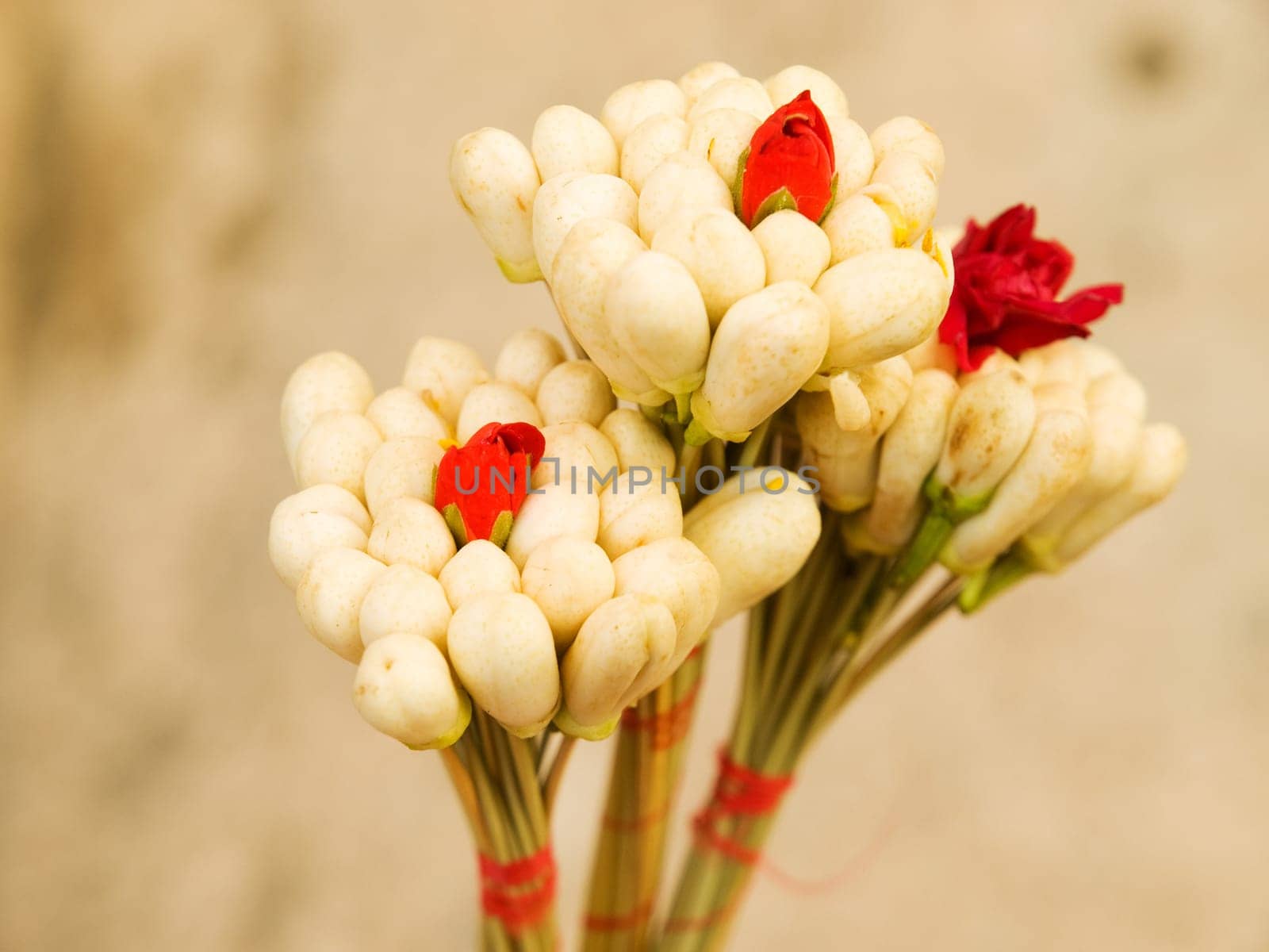 Jasmine blossom are popular in Tunisia