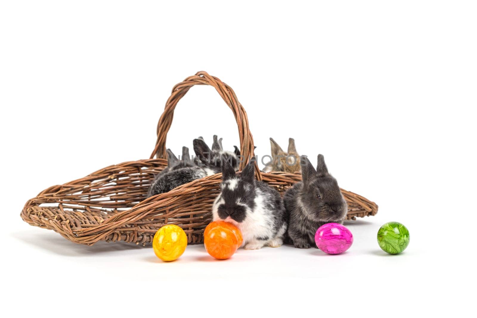 Easter bunny