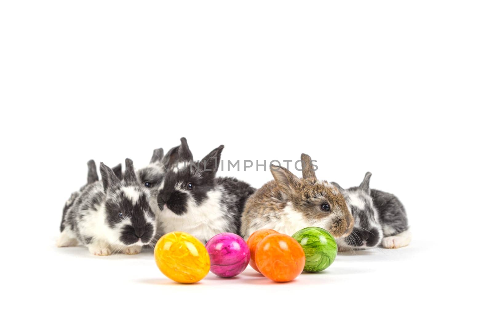 Easter bunny