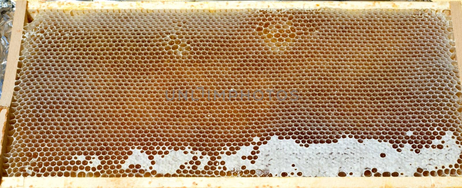 Honigwaben, waben, Bienenwachs, wachs, Bienenstock