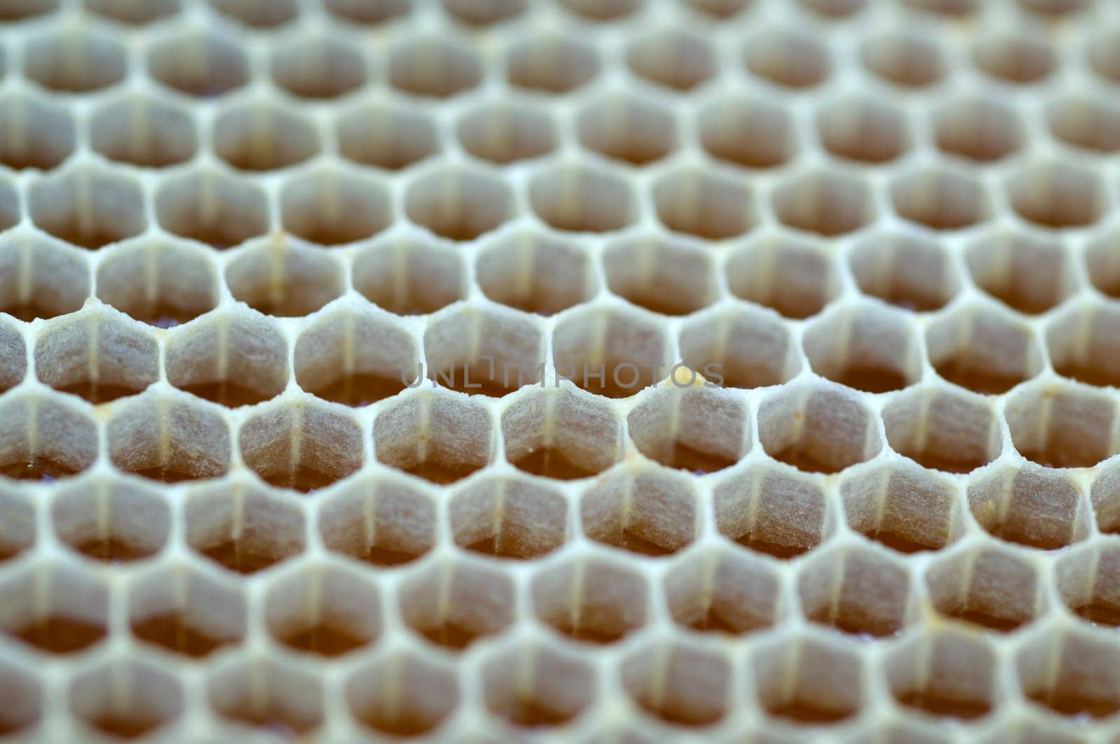 Honigwaben, waben, Bienenwachs, wachs, Bienenstock