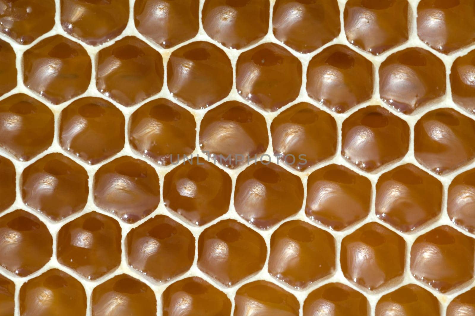 Honigwaben, waben, Bienenwachs, wachs, Bienenstock