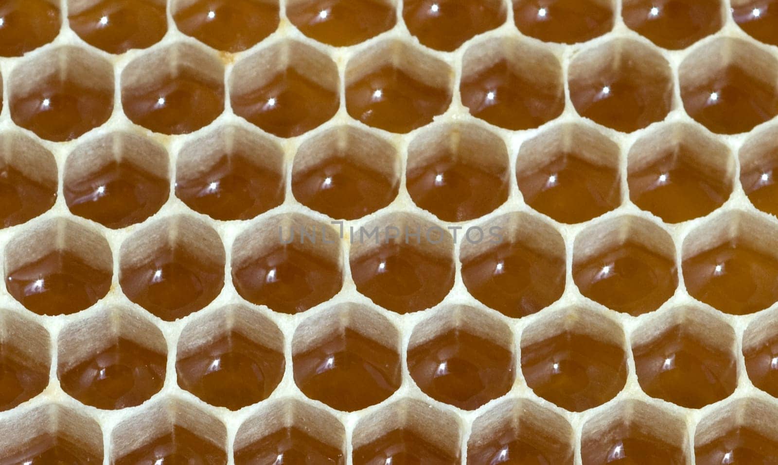 Honigwaben, waben, Bienenwachs, wachs, Bienenstock