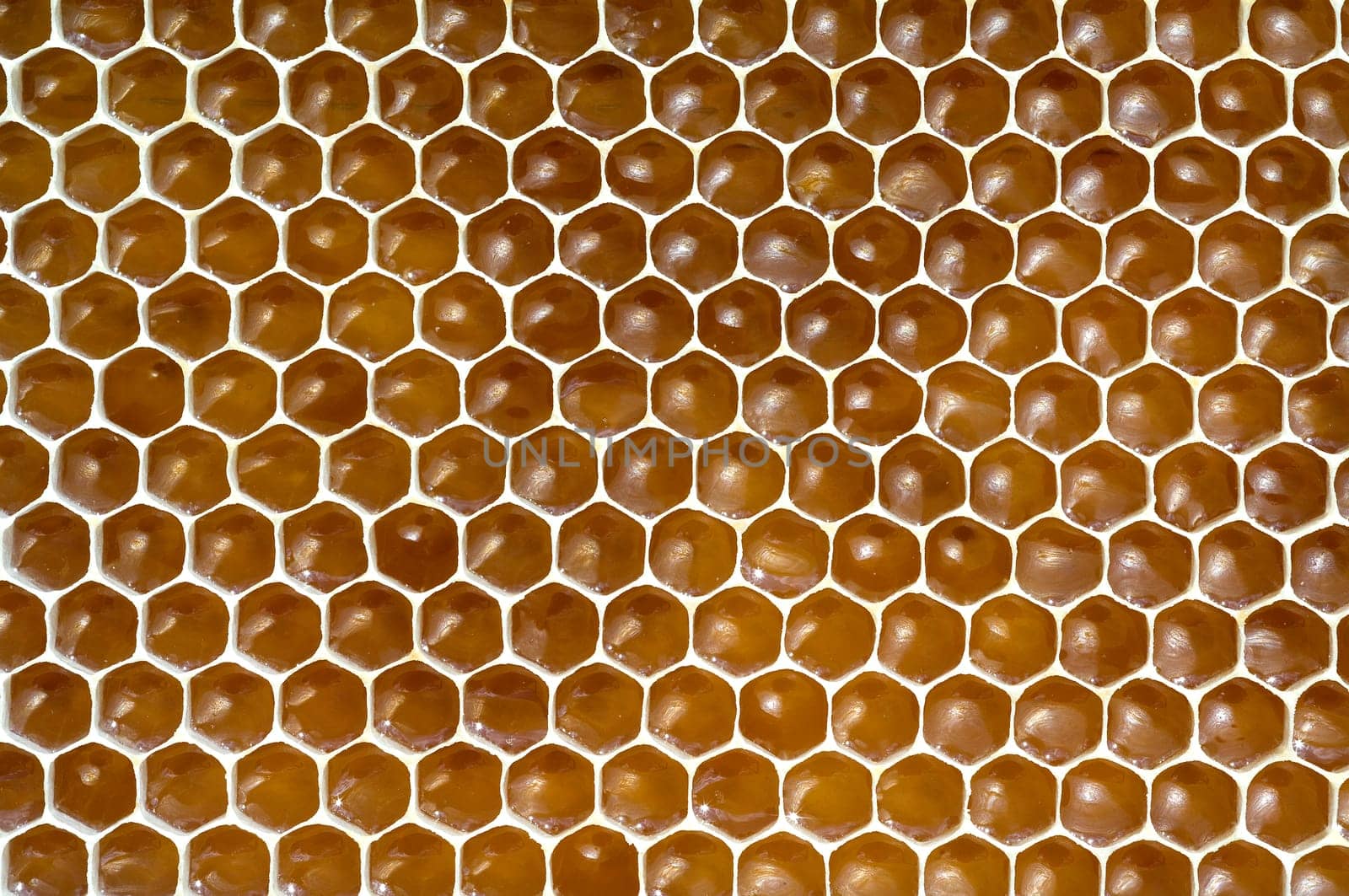 Honigwaben, waben, Bienenwachs, wachs, Bienenstock