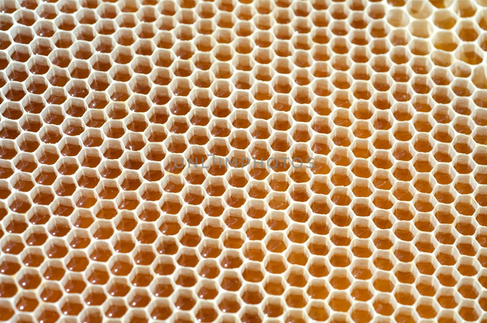 Honigwaben, waben, Bienenwachs, wachs, Bienenstock