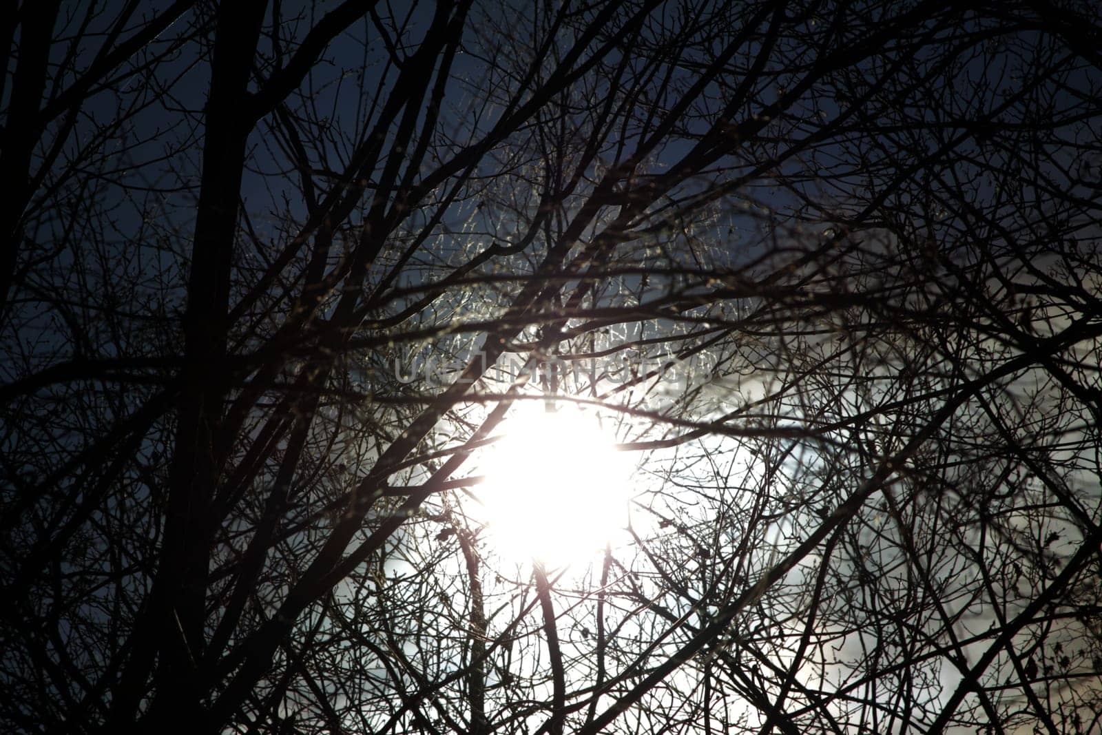 Sun