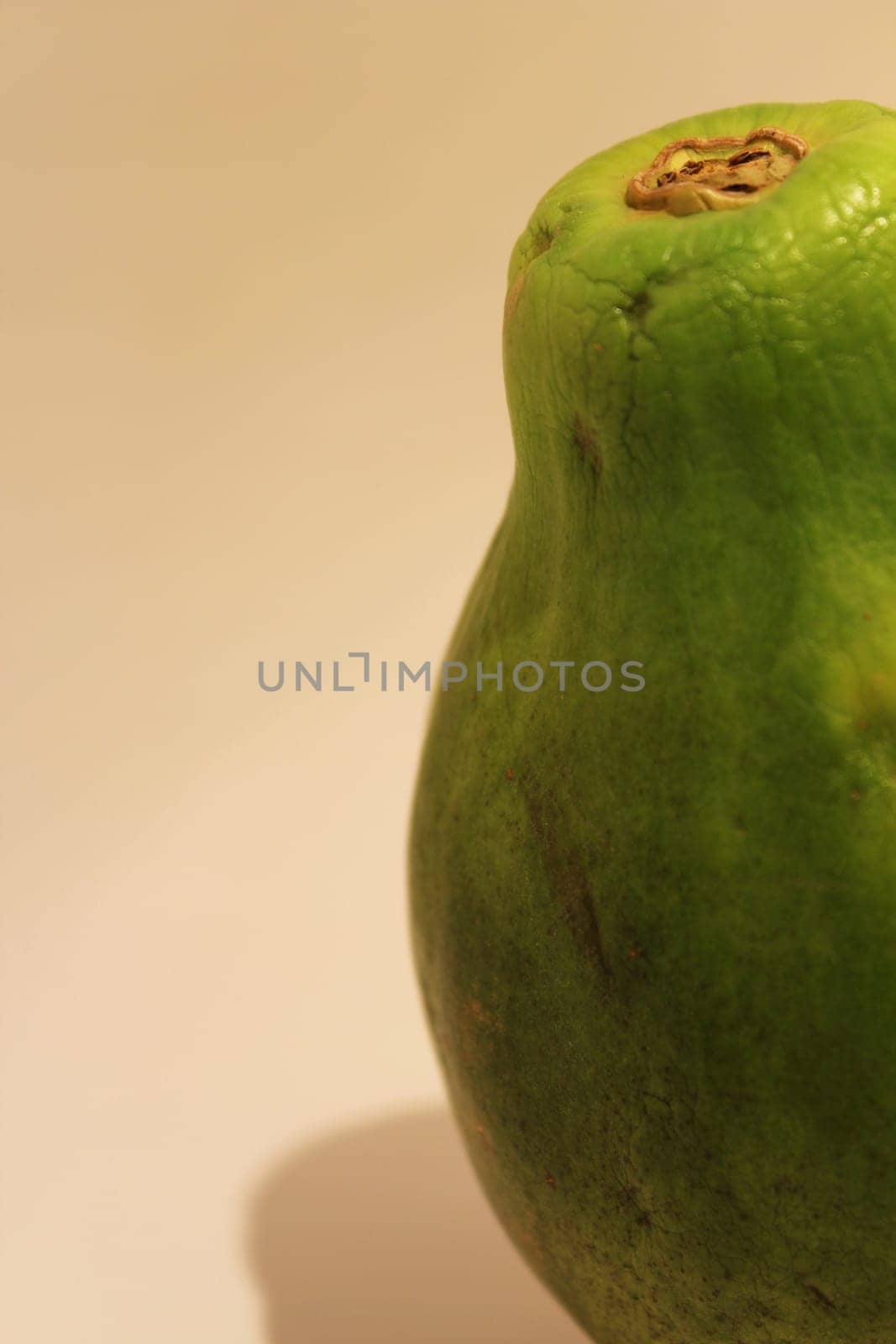 Papaya