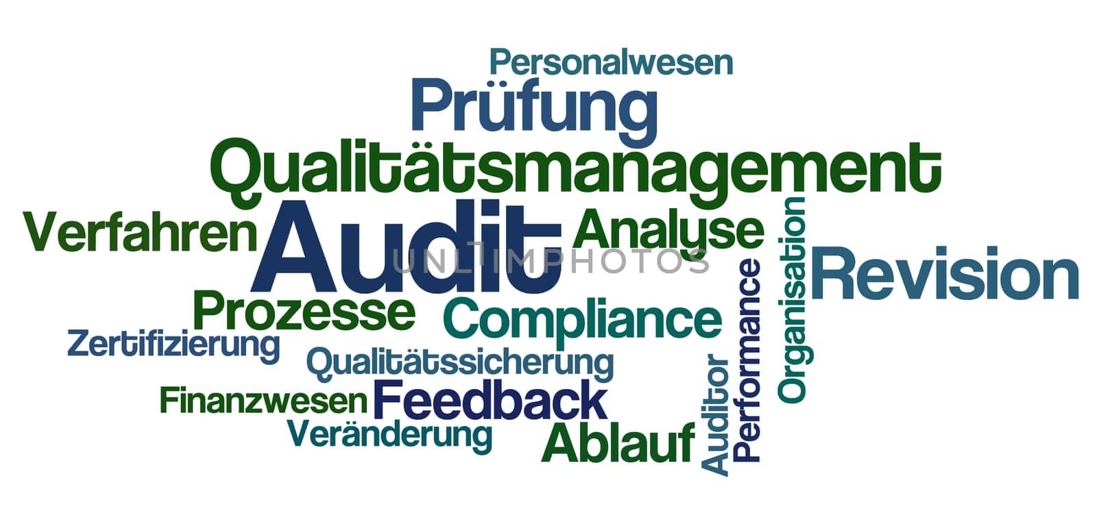 Word Cloud - Audit