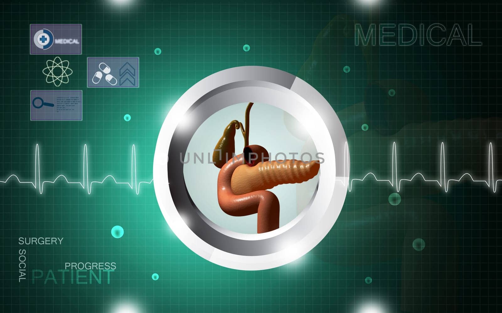 Digital illustration of pancreas in colour background