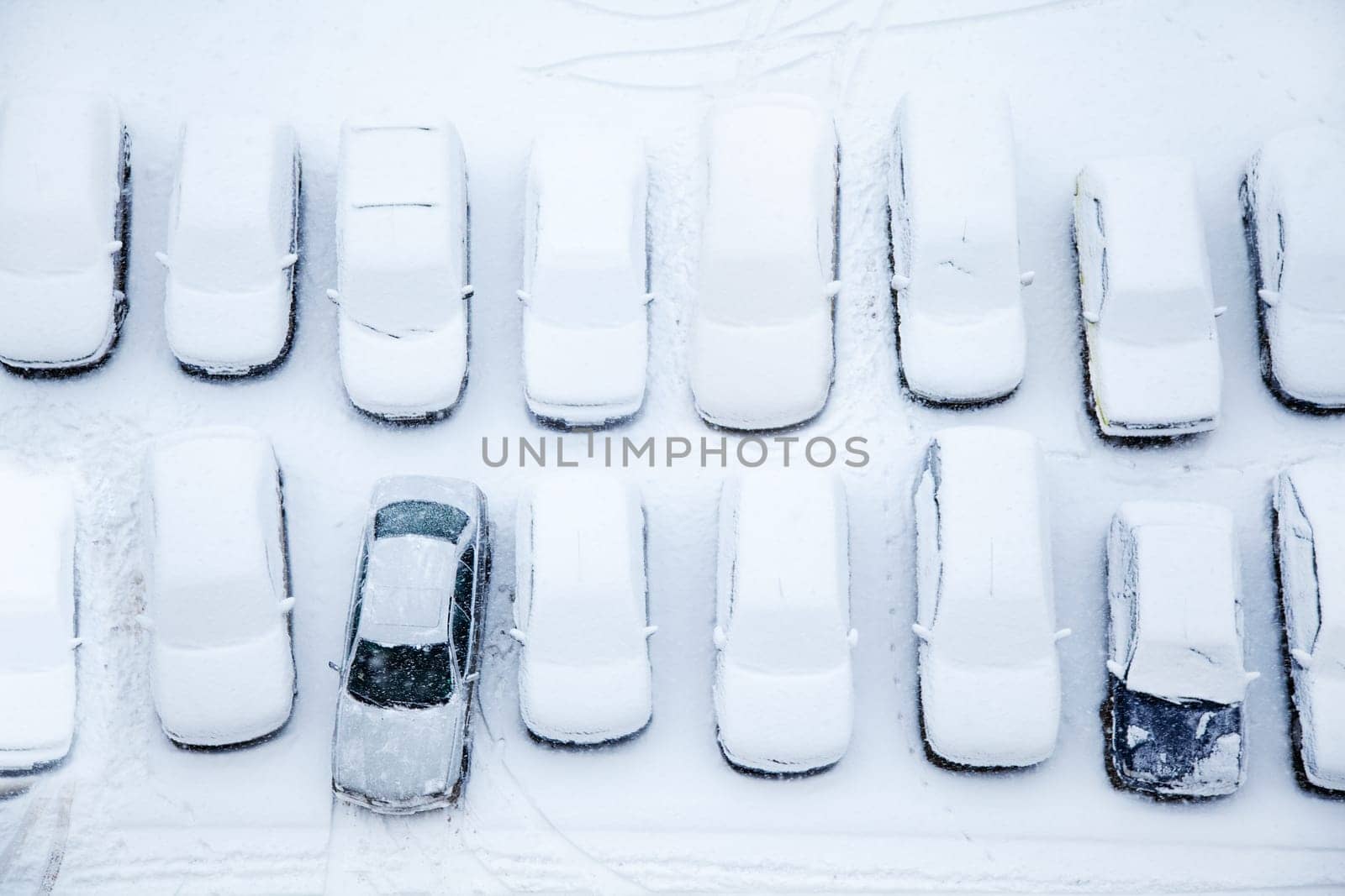 Parked cars covered with snow