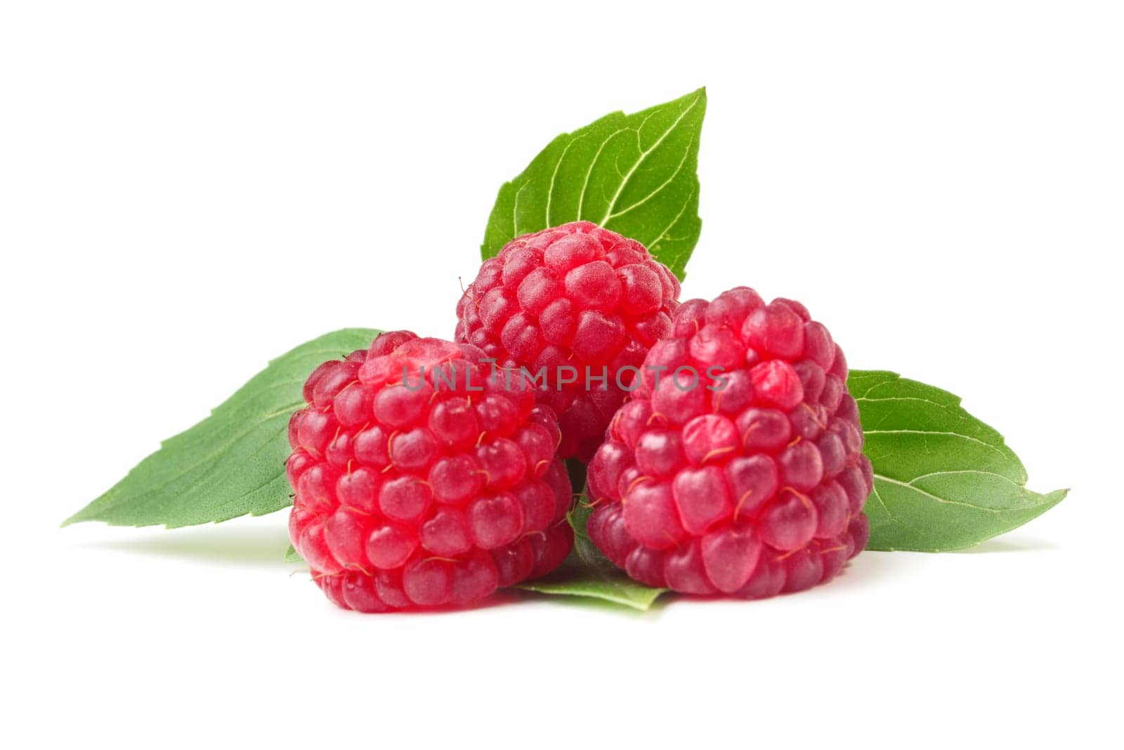 Raspberries isolated on white