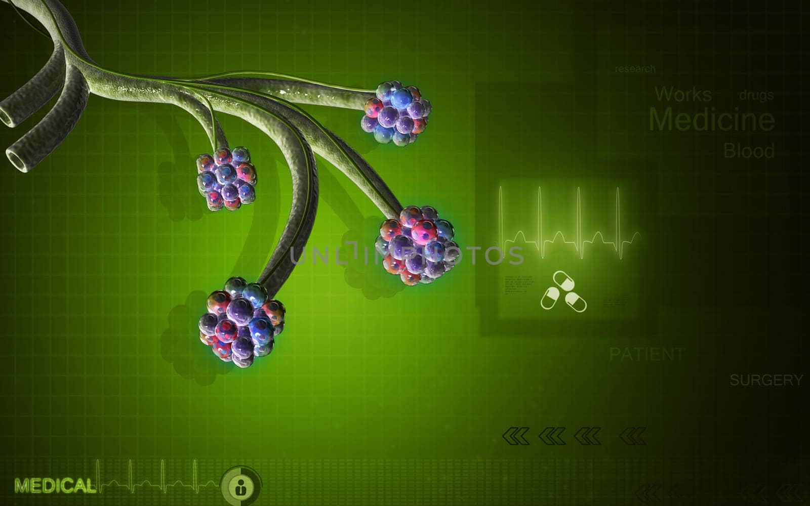 Digital illustration of alveoli in colour background