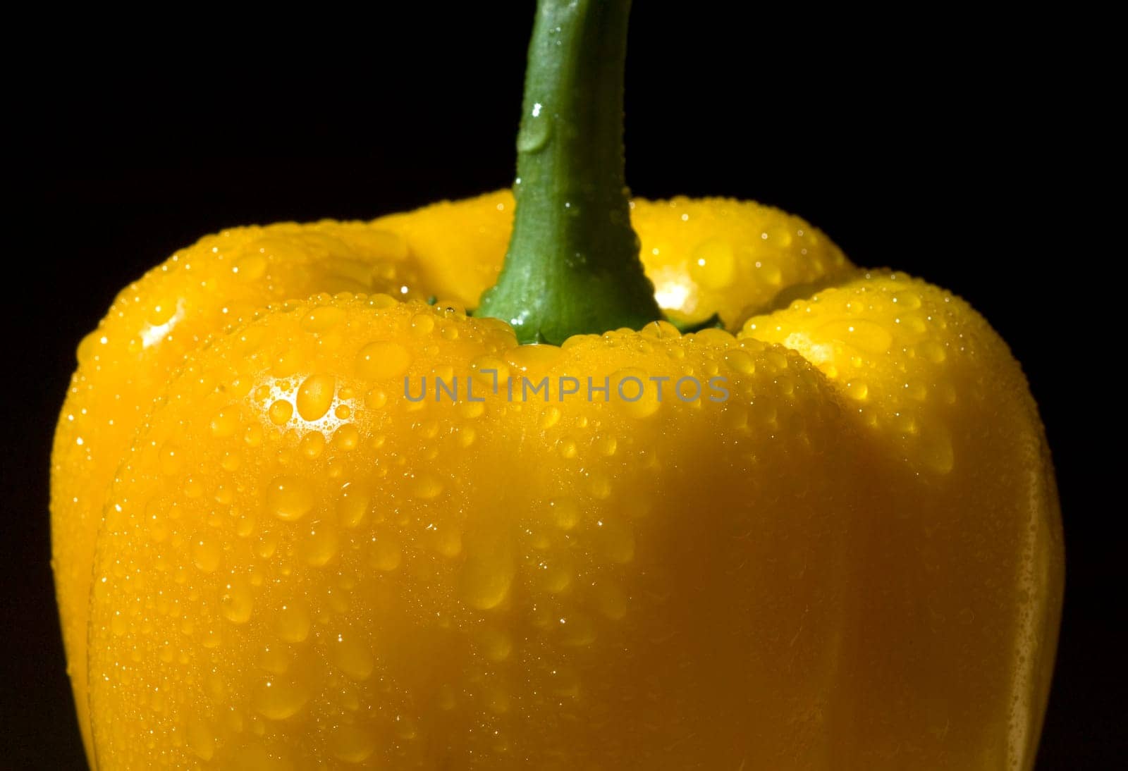 Peppers  Capsicum  annuum  Paprikaschote