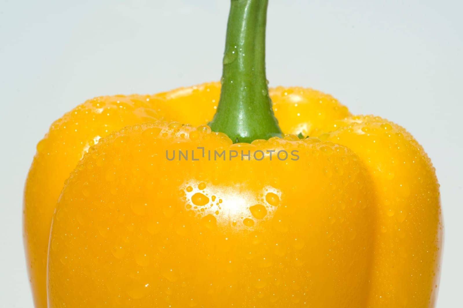Peppers  Capsicum  annuum  Paprikaschote