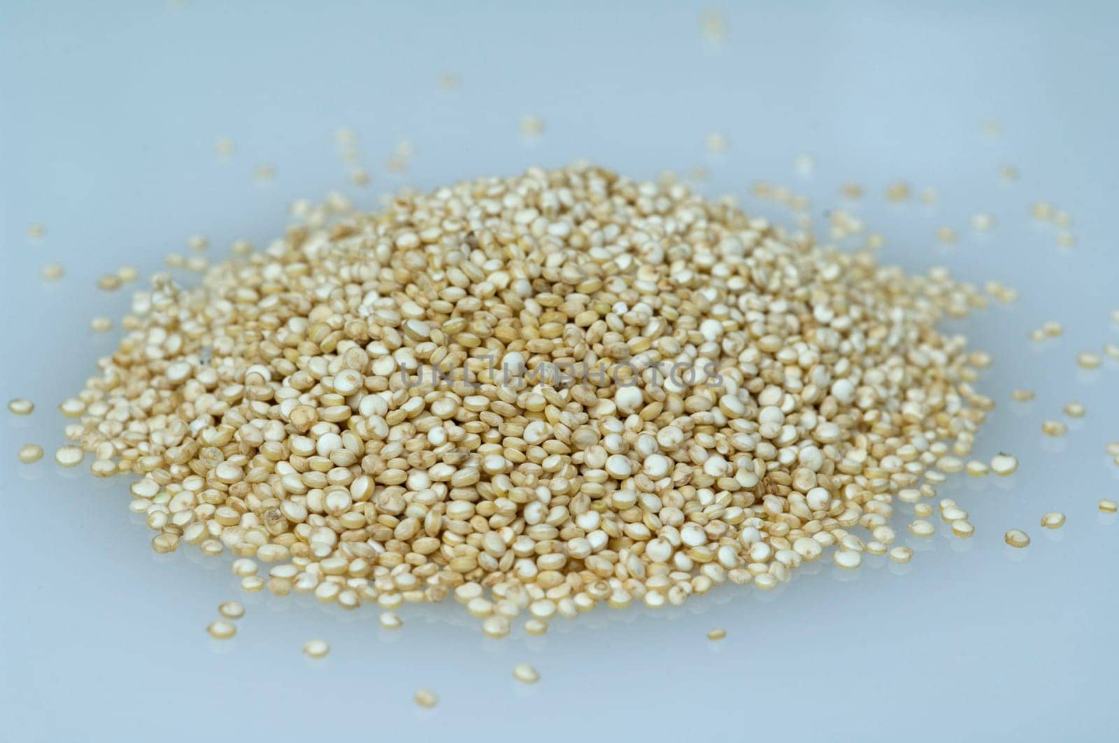 Quinoa  chenopodium