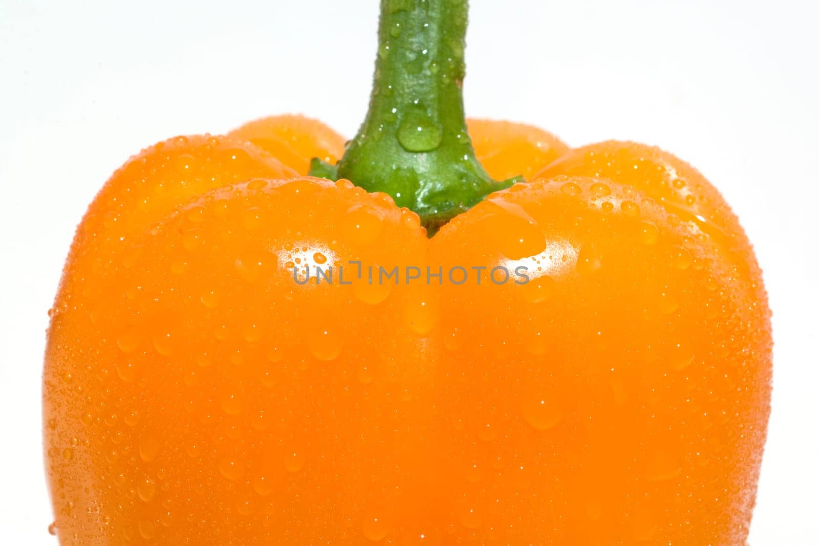 Peppers  Capsicum  annuum  Paprikaschote