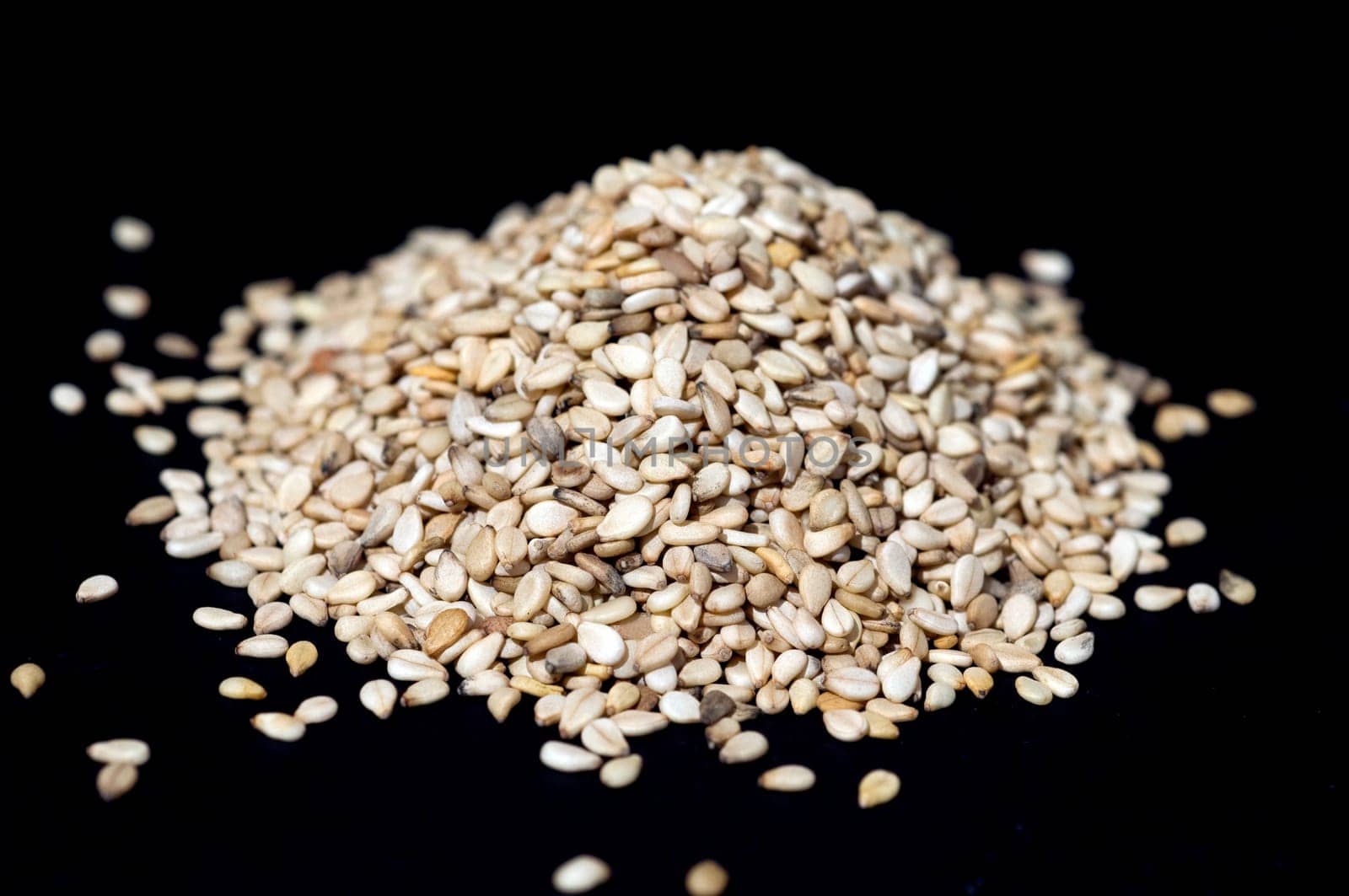 Sesamsamen  Sesam  Sesamum indicum