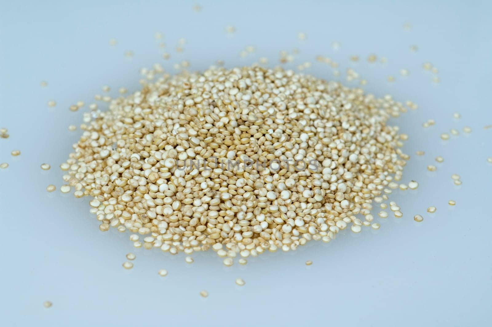 Quinoa  chenopodium