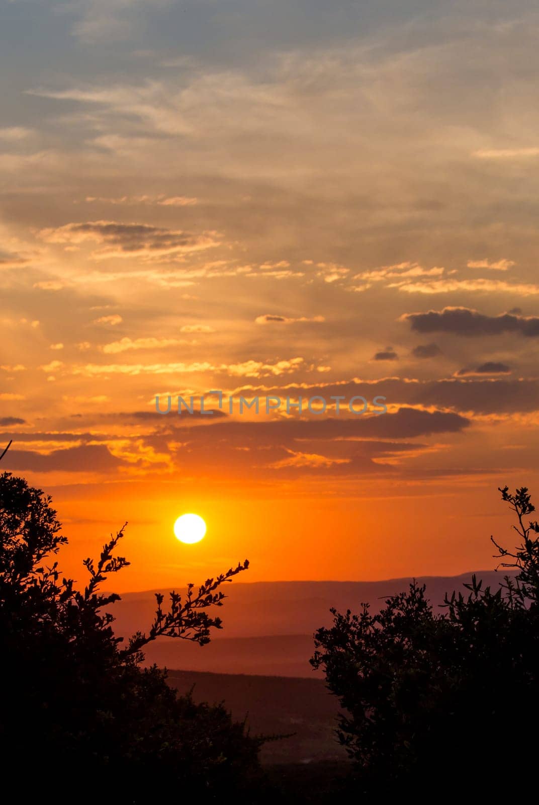 Beautiful glowing sunset in the African wilderness