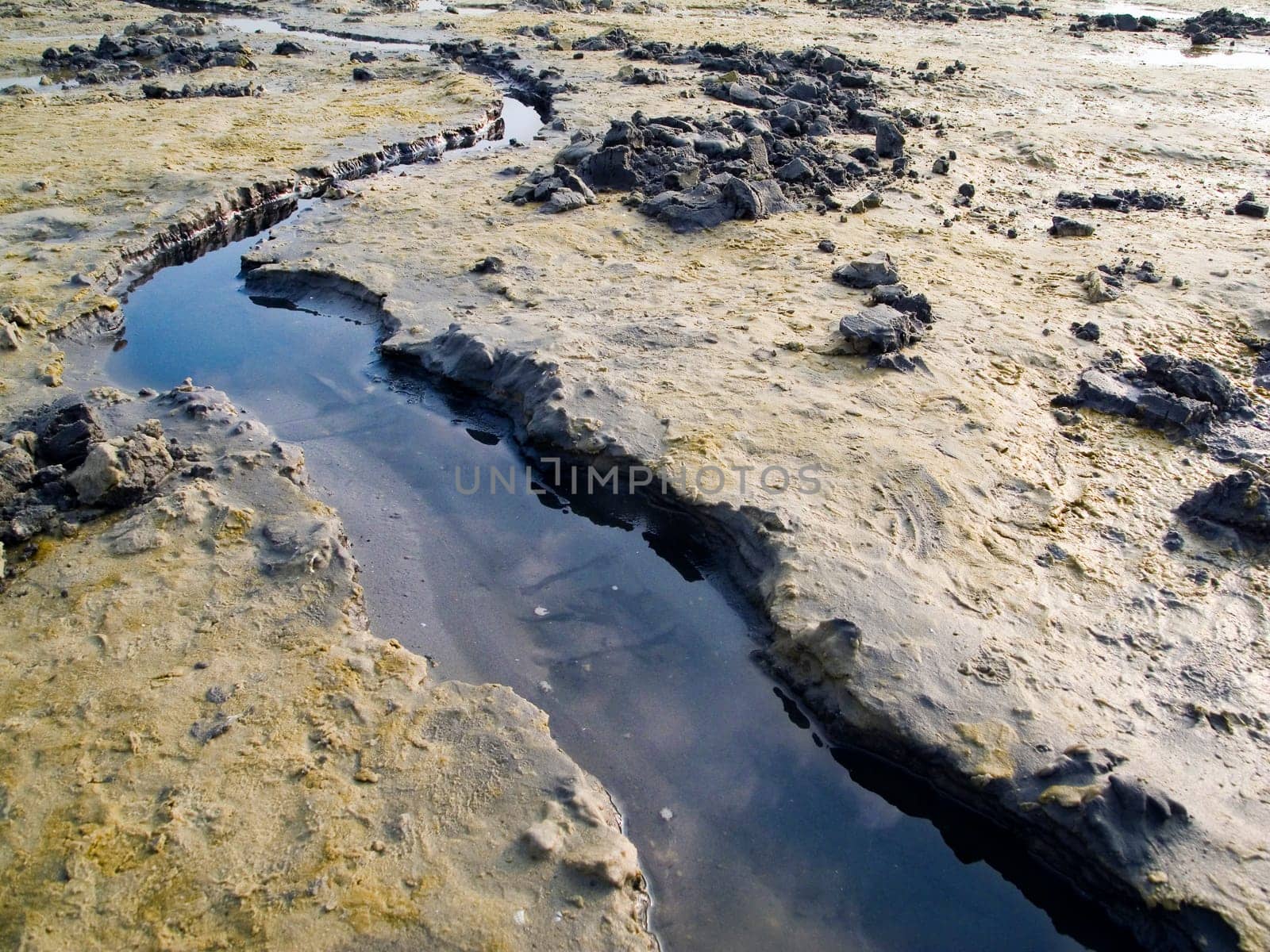 wide-angleview of a Priel at low tide in East Frisia / Germany