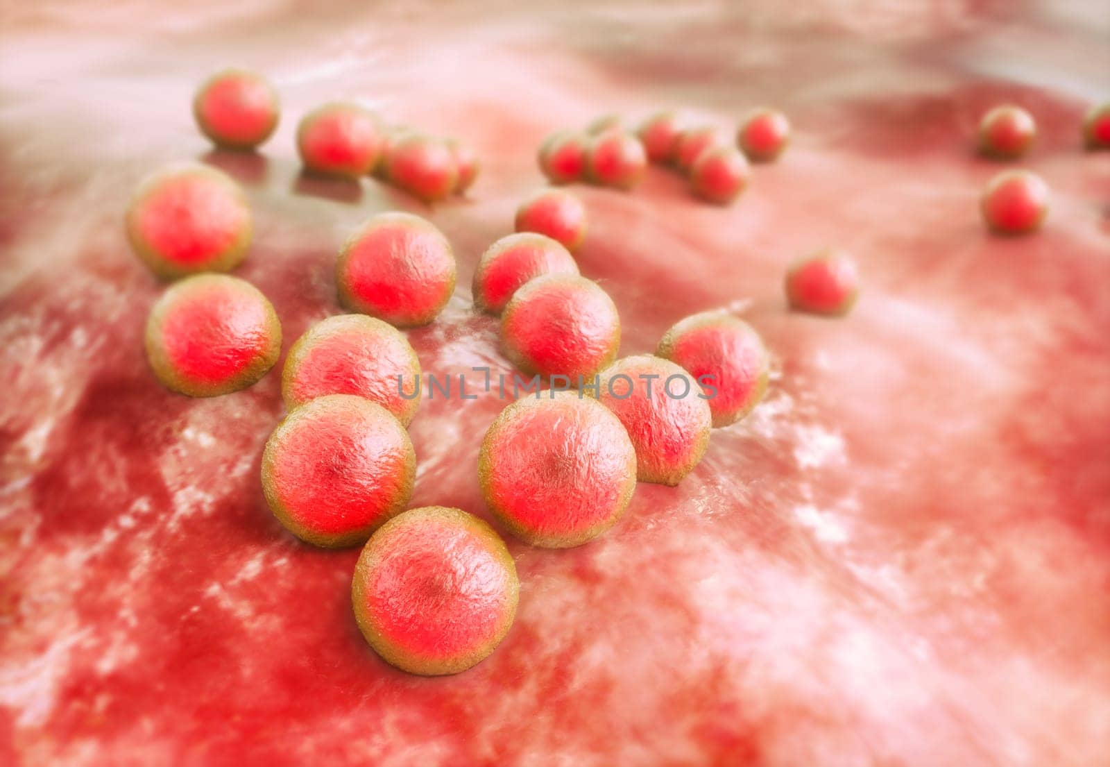 MRSA under the microscope in detailed view