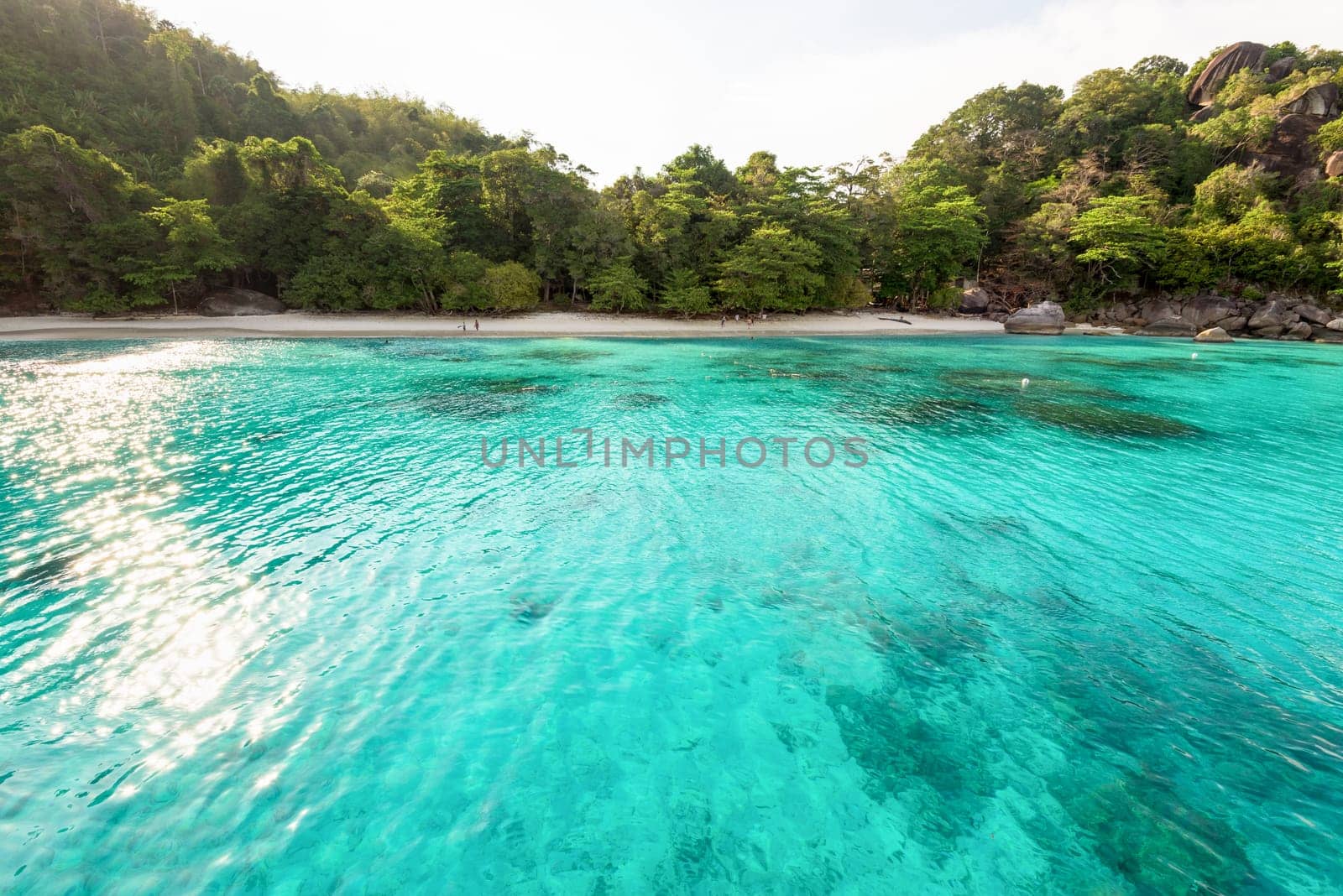 Beautiful green blue sea front small beach at Honeymoon Bay is a famous attractions for diving on Ko Miang island in Mu Koh Similan National Park, Phang Nga Province, Thailand