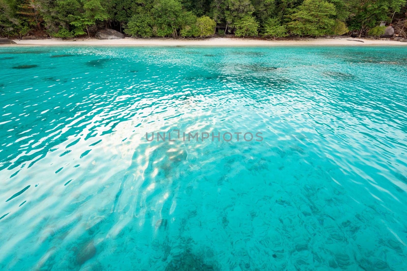 Beautiful green blue sea front small beach at Honeymoon Bay is a famous attractions for diving on Ko Miang island in Mu Koh Similan National Park, Phang Nga Province, Thailand