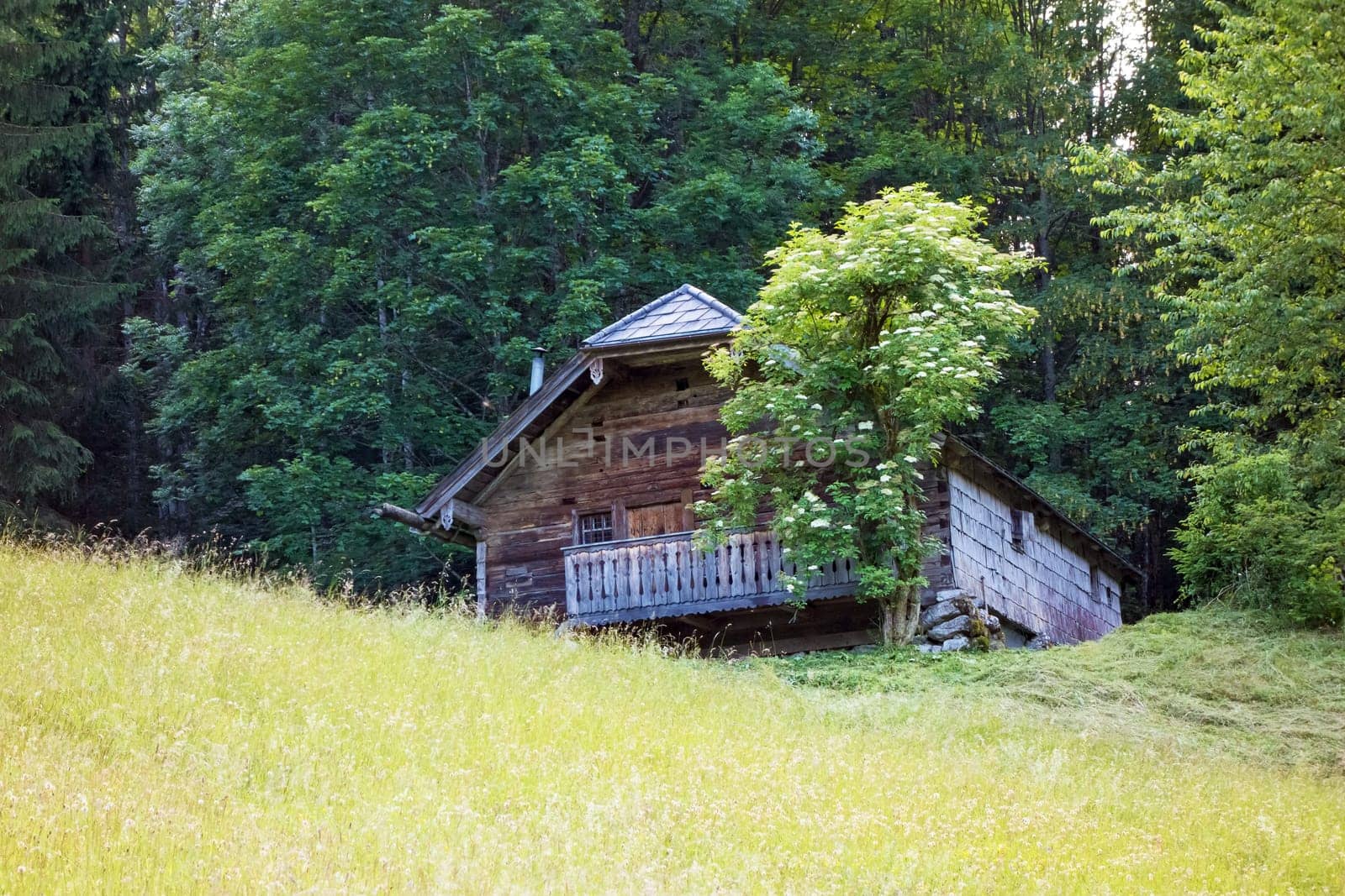 Mountain refuge