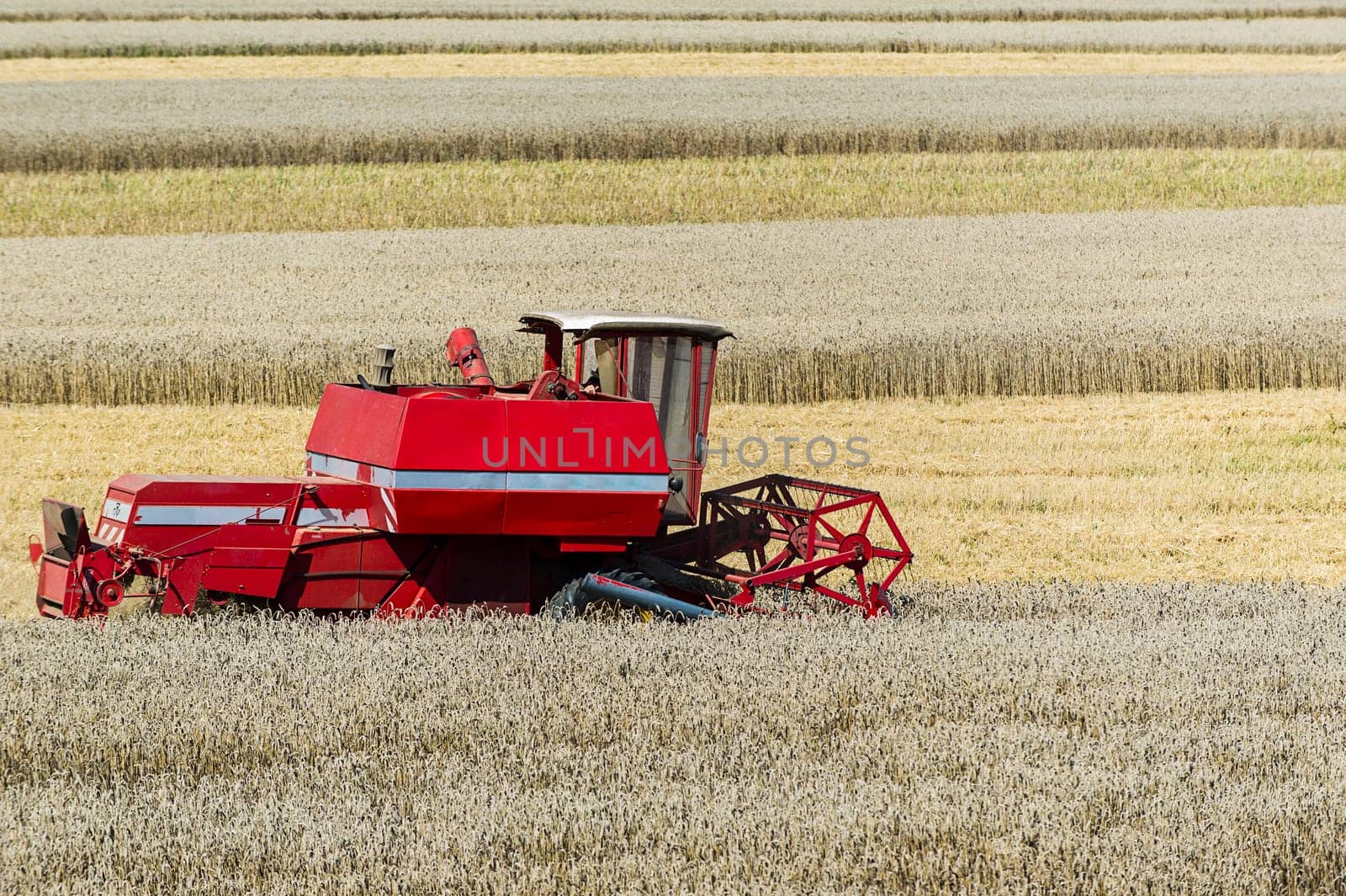 Combine harvester in a wheat field