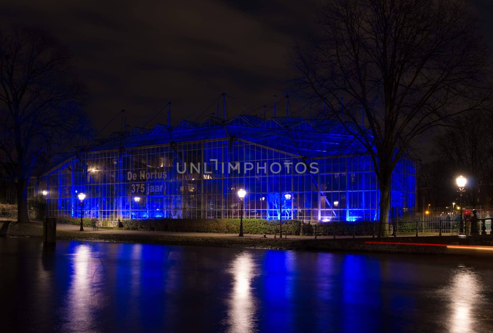 light festival in amsterdam