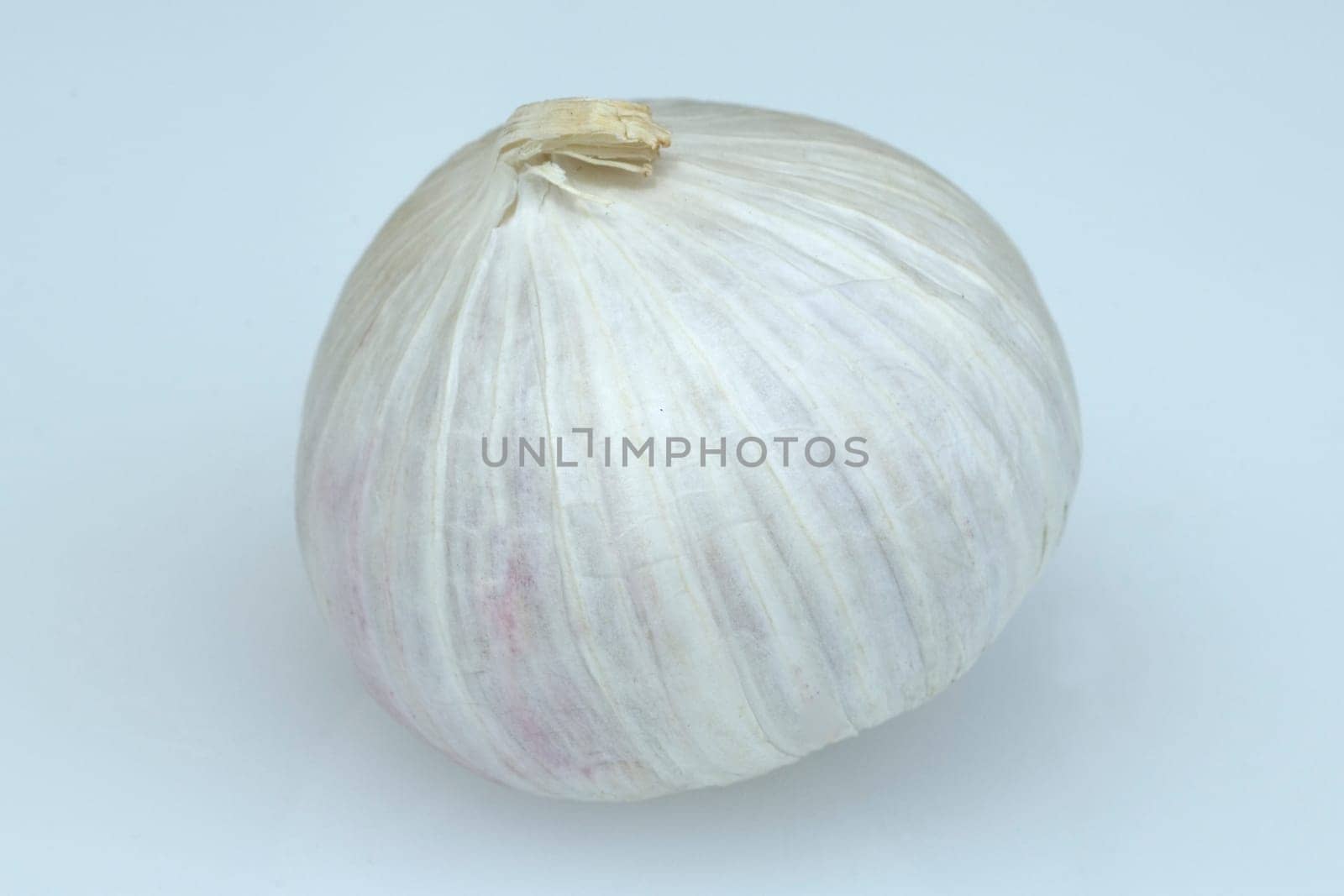 Soloknoblauch, Einzehenknoblauch