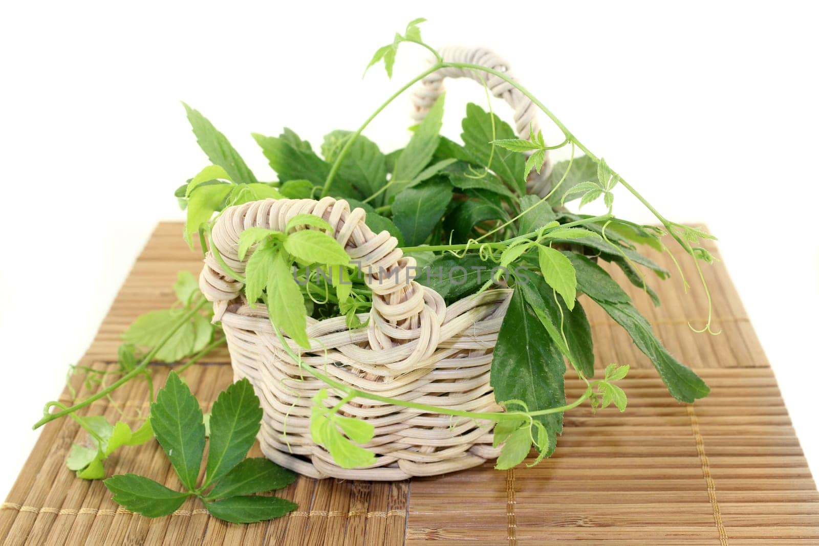 some tendrils Jiaogulan against a bright background