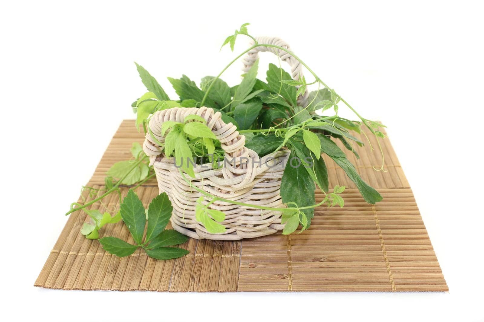 some tendrils Jiaogulan against a bright background