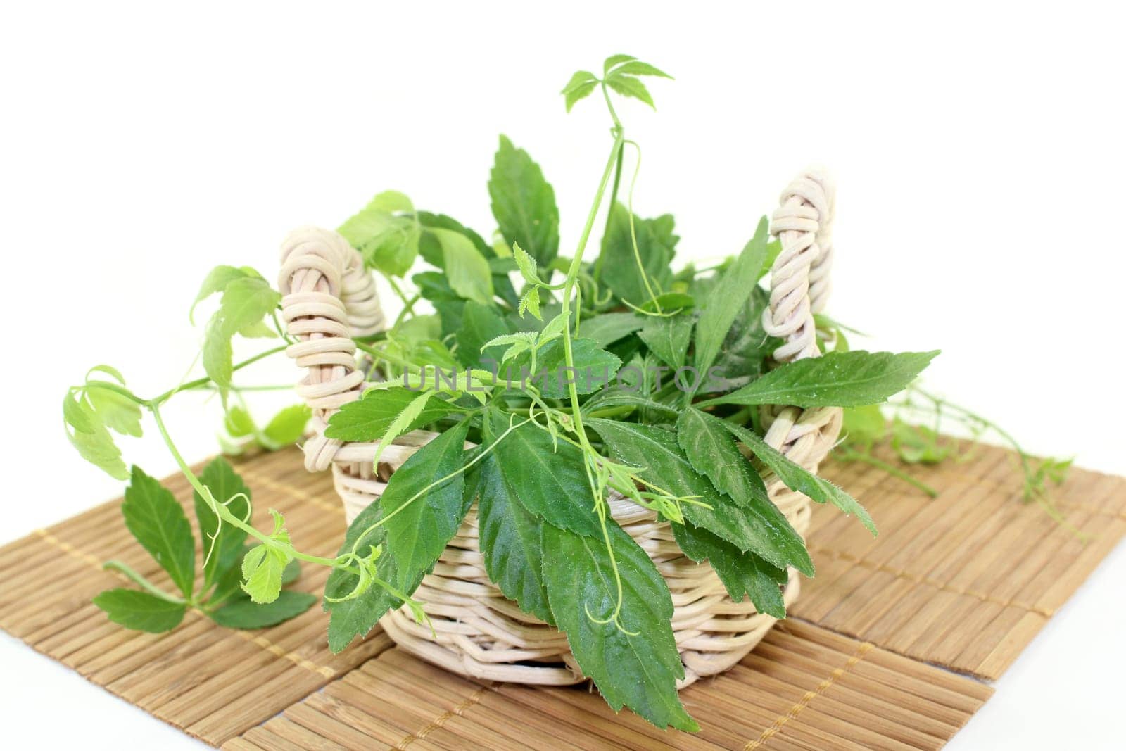 some tendrils Jiaogulan against a bright background