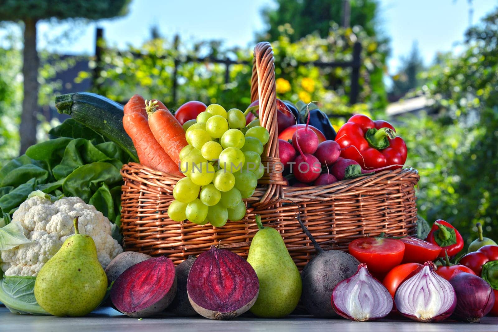 Fresh organic vegetables and fruits in the garden. Balanced diet