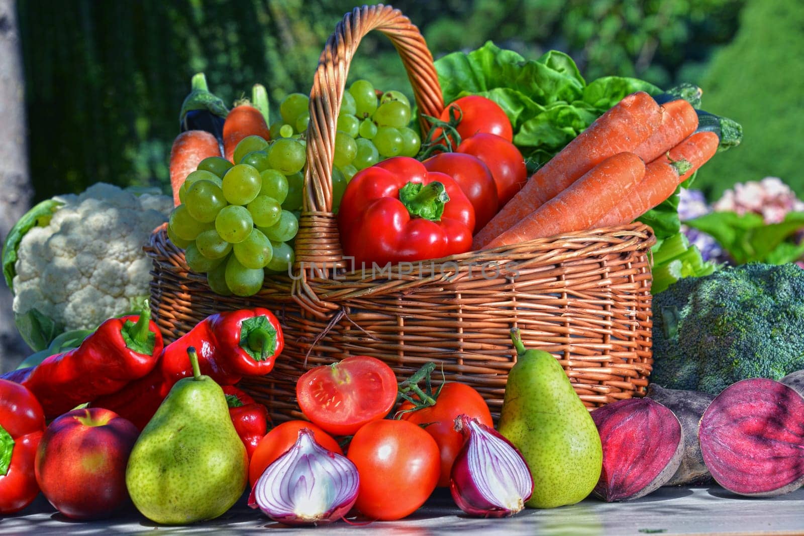 Fresh organic vegetables and fruits in the garden. Balanced diet