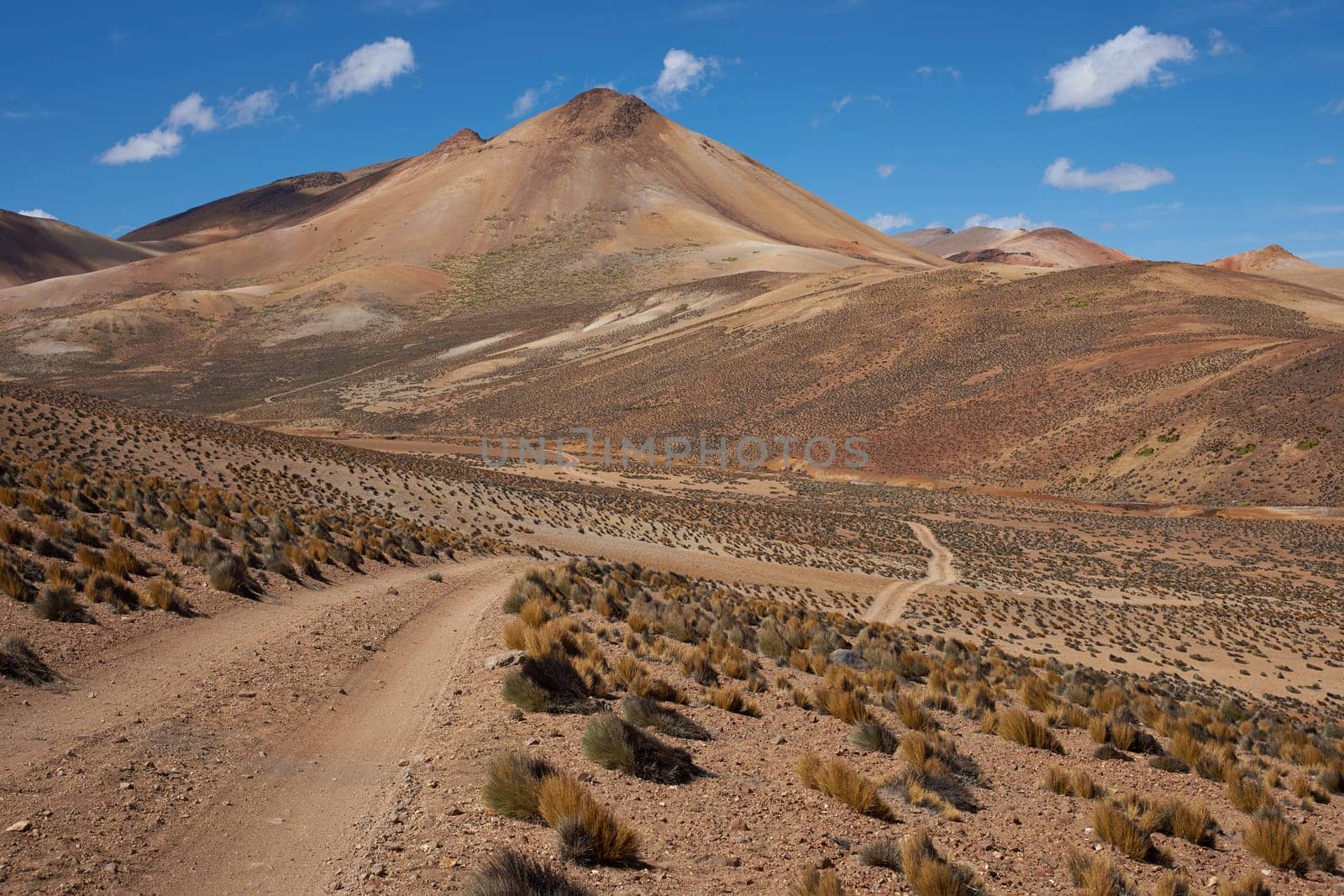 Gravel road running through the colourful desert landscape in Lauca National Park set in the altiplano of northern Chile