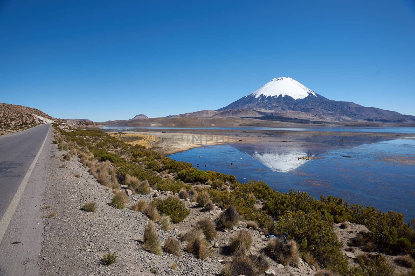 Snow capped Parinacota Volcano, 6,324m high, reflected in Lake Chungara in the Altiplano of northern Chile.