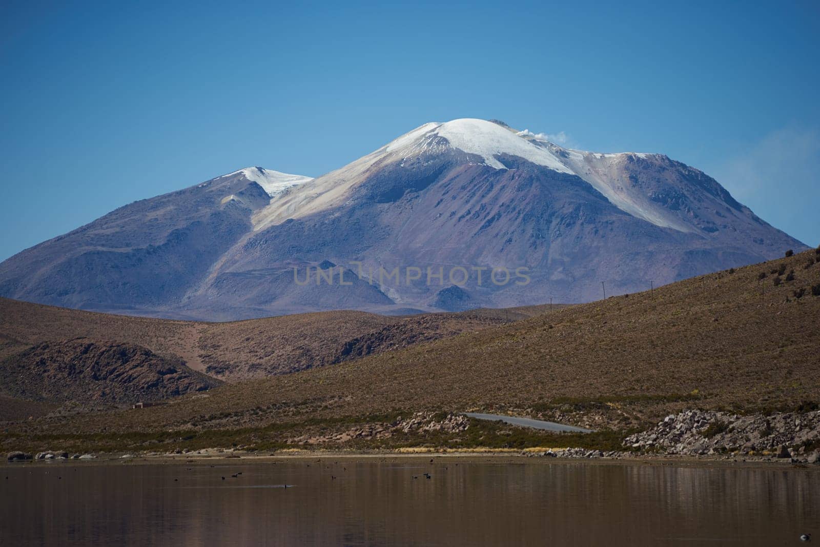 Snow capped Parinacota Volcano, 6,324m high, reflected in Lake Chungara in the Altiplano of northern Chile.