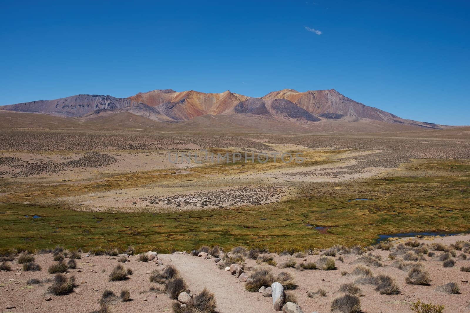 The altiplano, around 4,000 metres above sea level, in Lauca National Park, Chile. In the foreground is a wetland area containing course green grass known locally as a bofedal, beyond are the colouful slopes of a long extinct volcano.