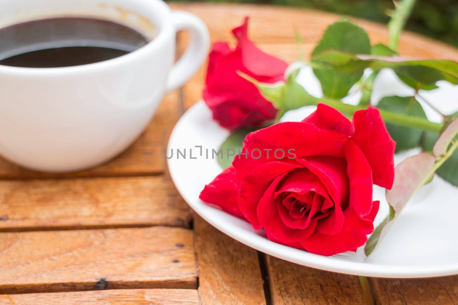 Cup of black coffee in home garden, stock photo