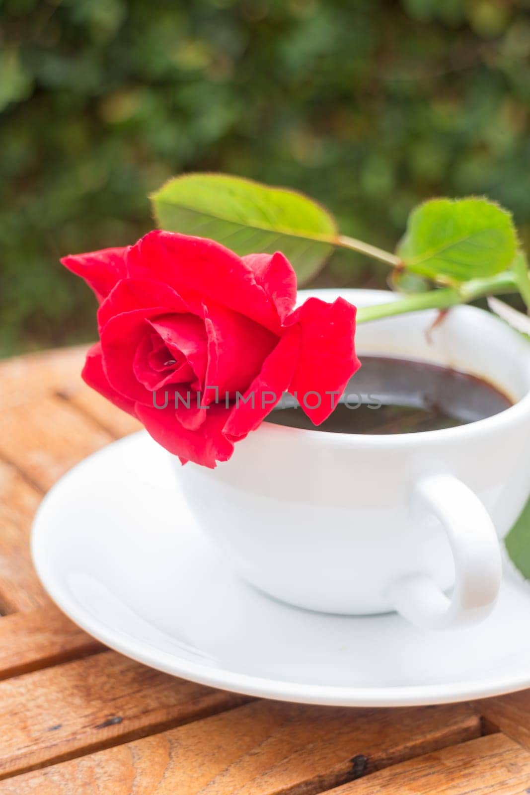 Cup of black coffee in home garden, stock photo