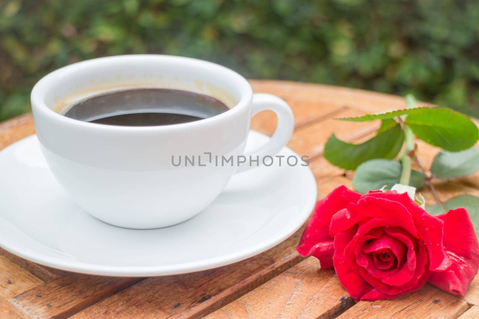 Cup of black coffee in home garden, stock photo