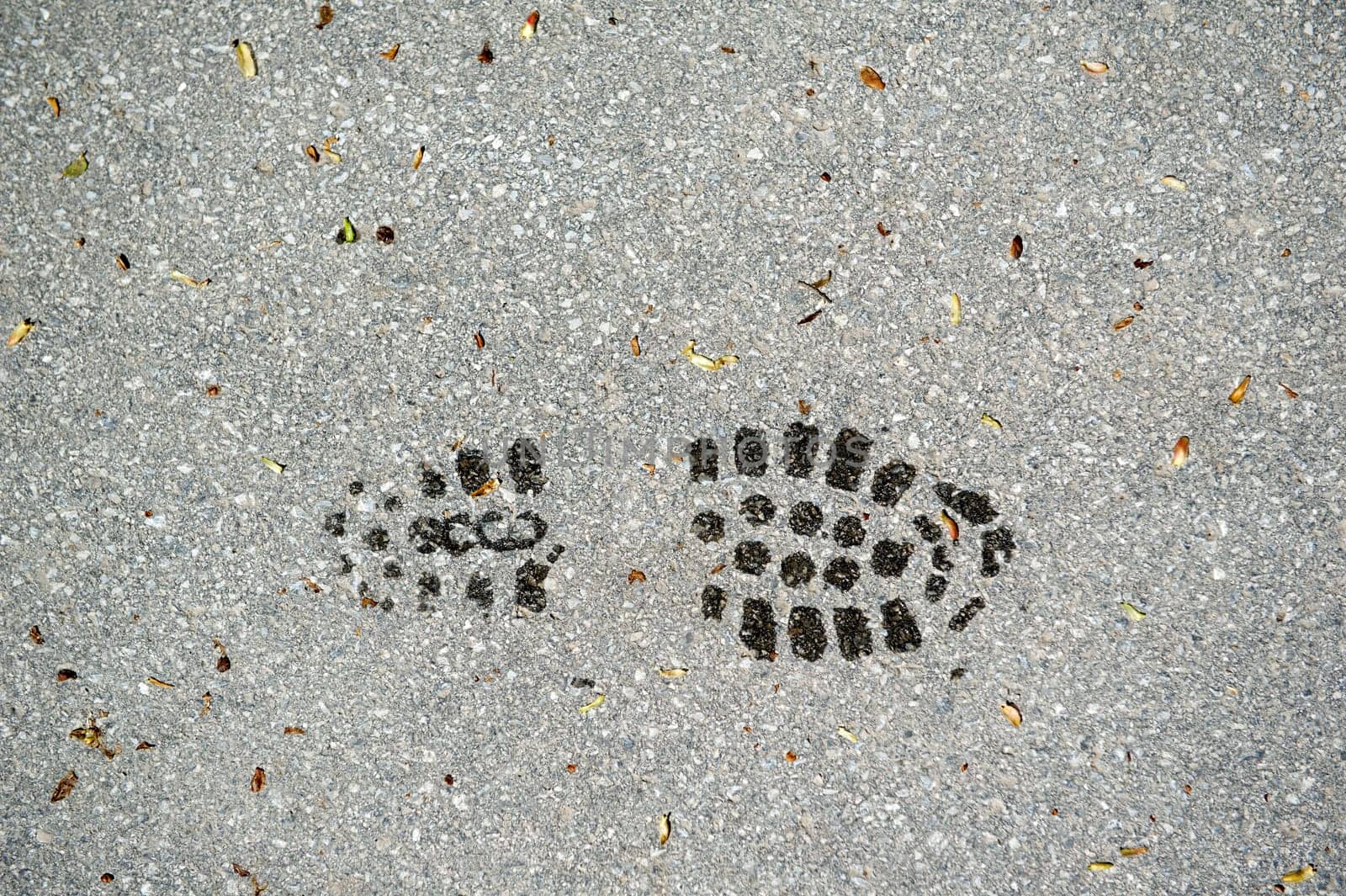 Profile of a shoe print