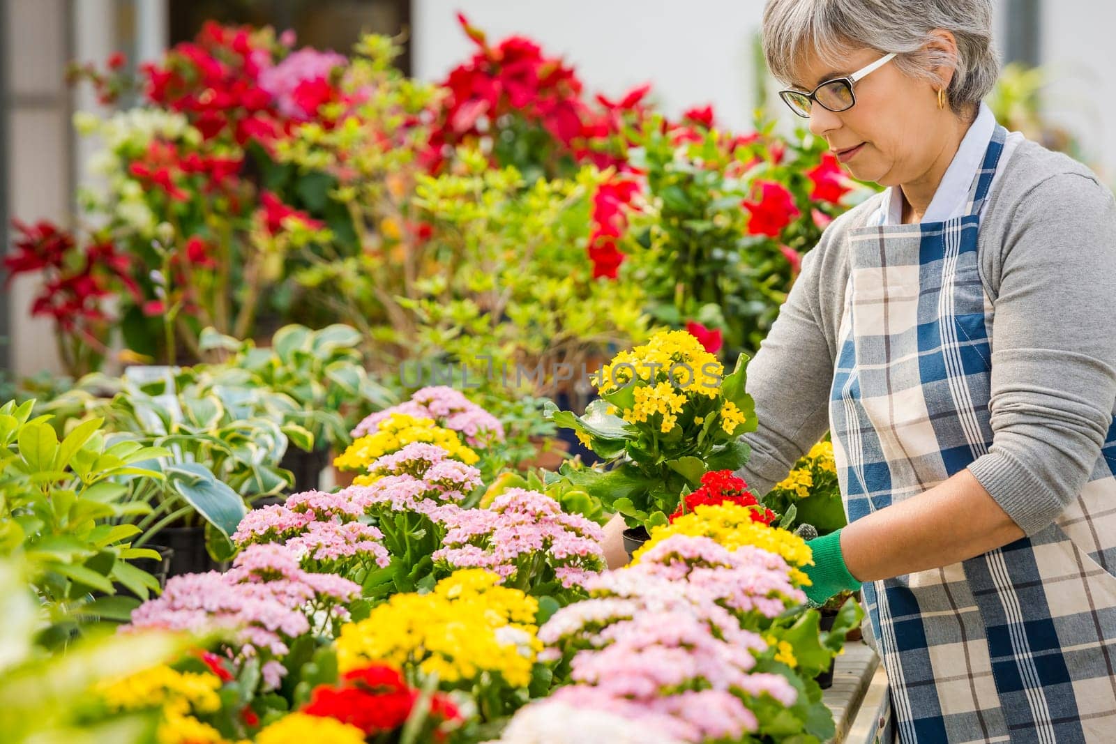 Beautiful mature woman gardening and looking at camera while smiling