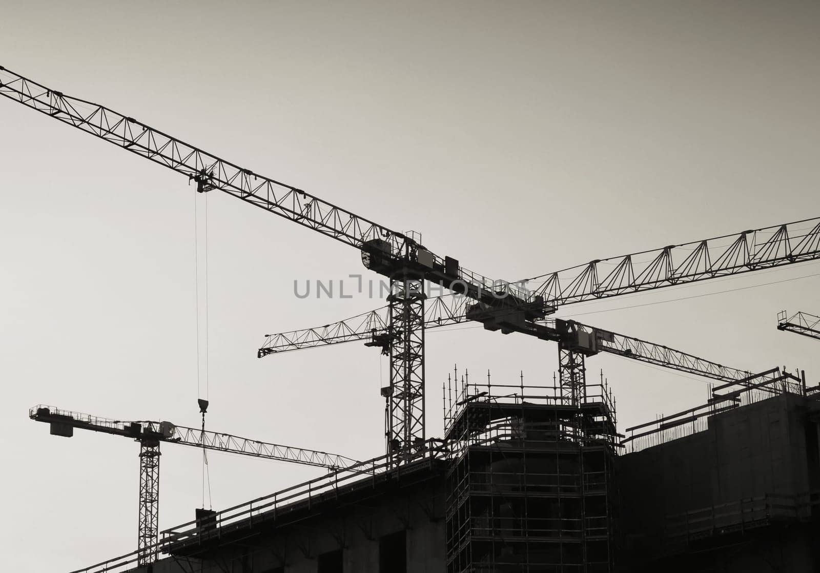 Construction cranes on the construction site of the Stadtschloss in Berlin